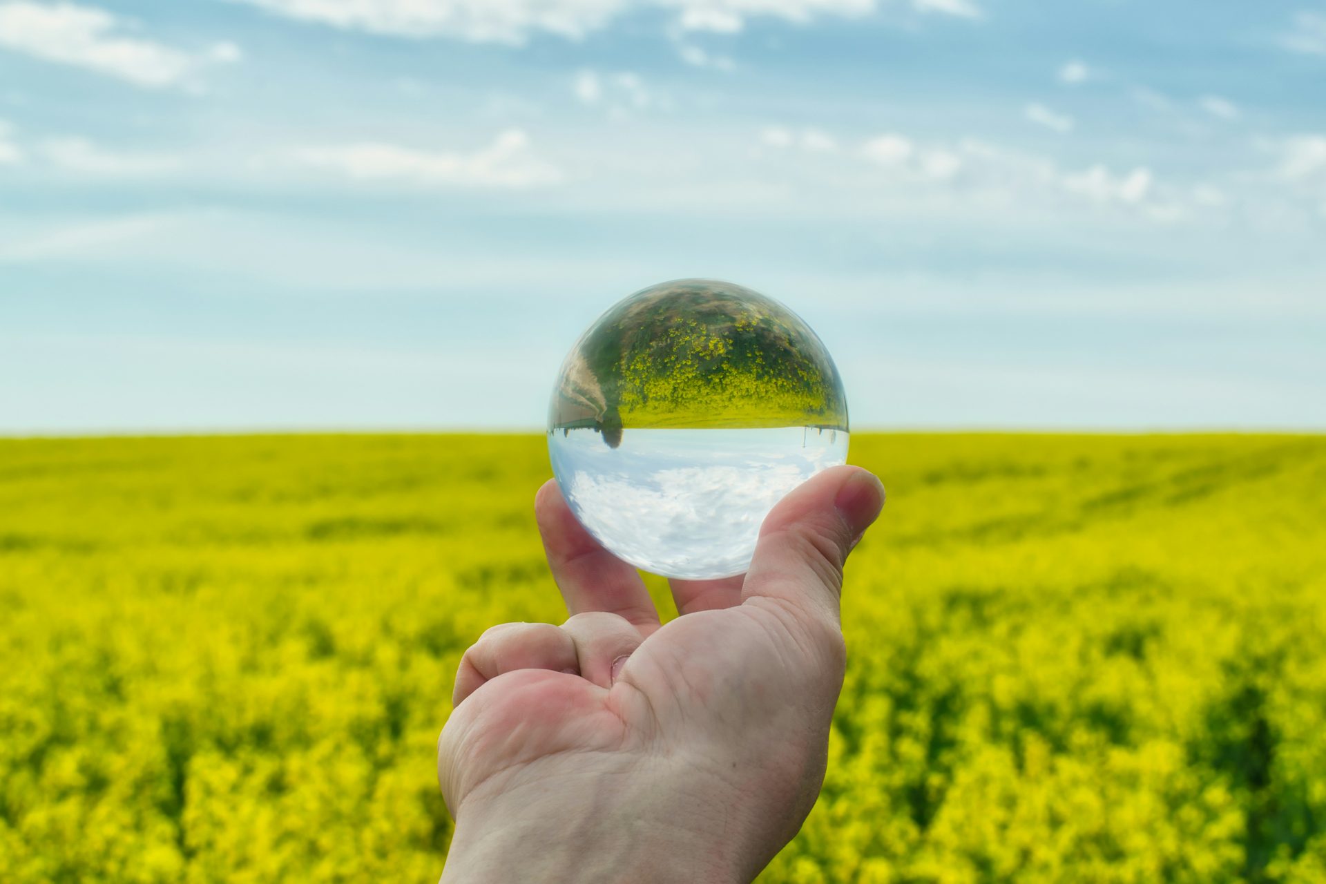 ISO 14001:2026: los cambios de la nueva edición y su impacto en la gestión ambiental de las organizaciones